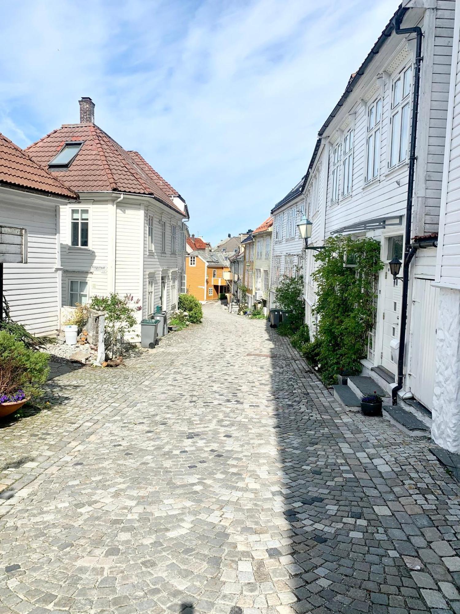Nedre Stolen Apartment Bergen Ngoại thất bức ảnh