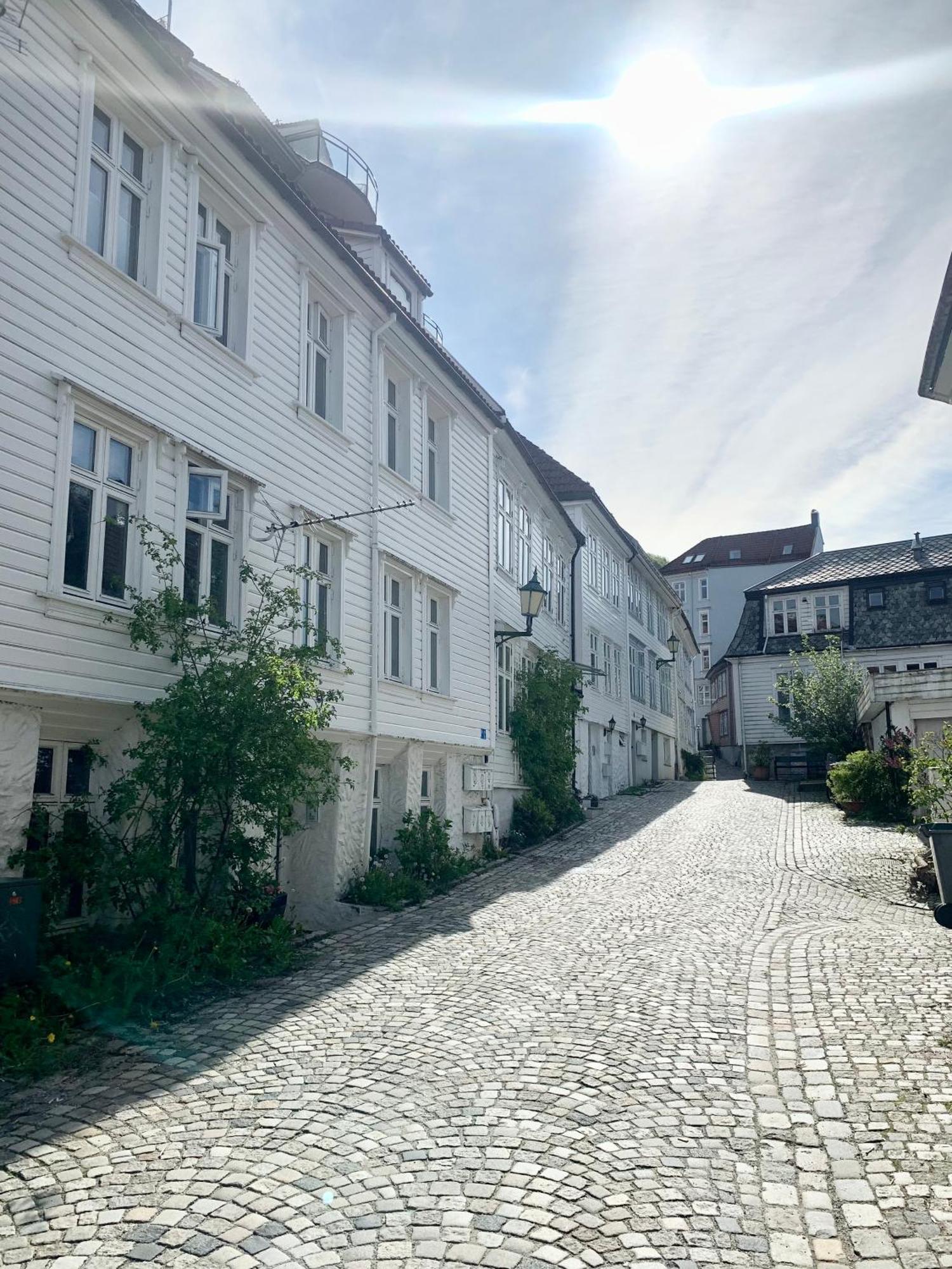 Nedre Stolen Apartment Bergen Ngoại thất bức ảnh